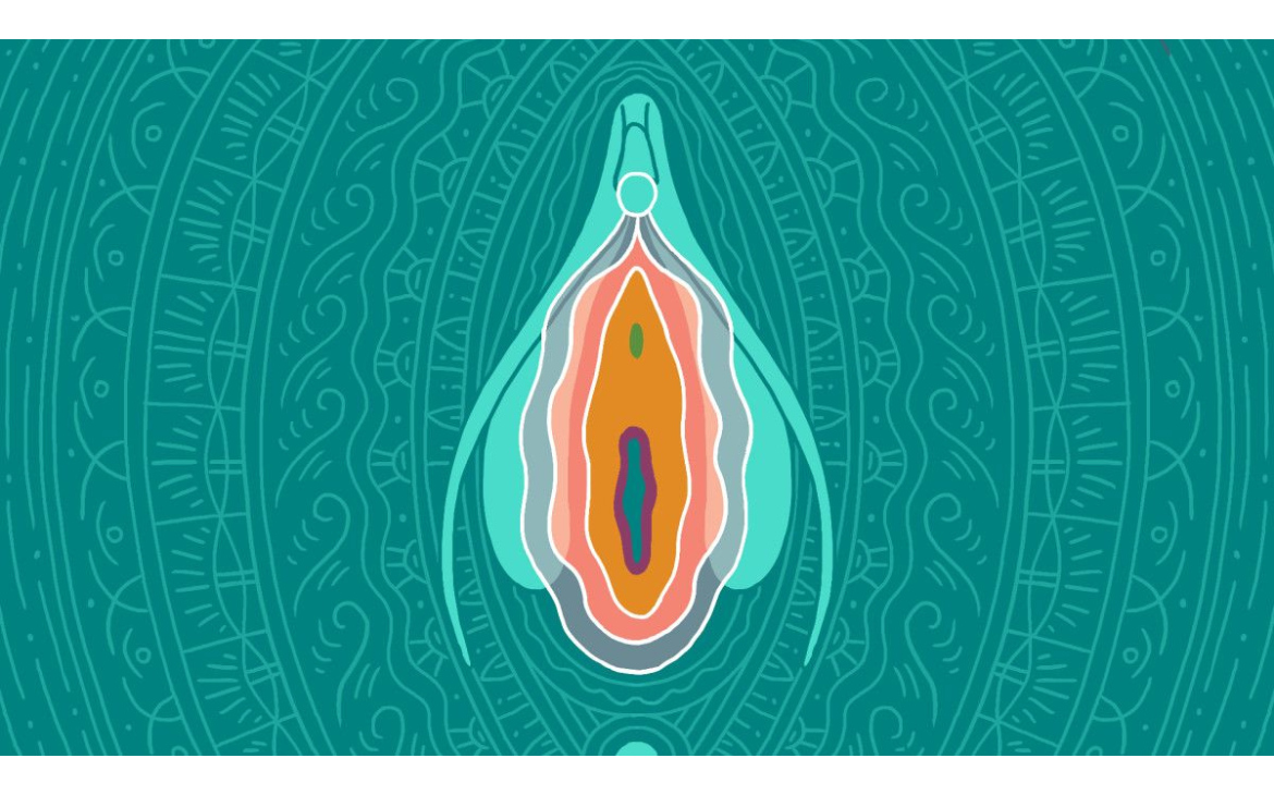 LES SECRETS DU CLITORIS